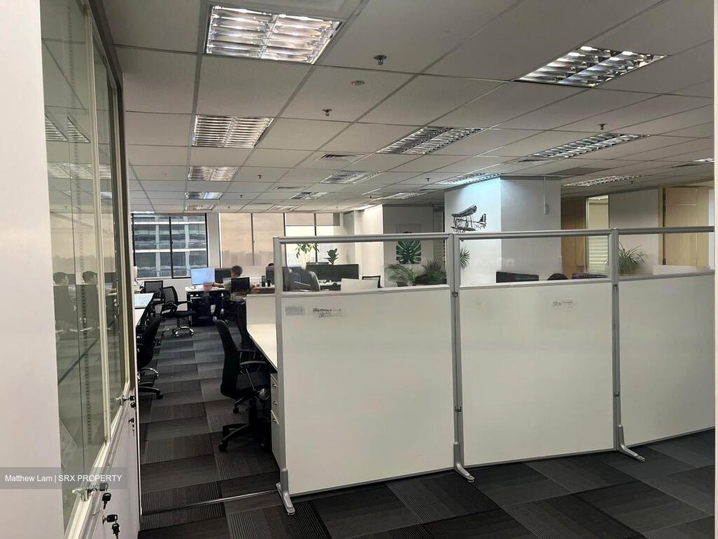 International Plaza (D2), Office #454655921